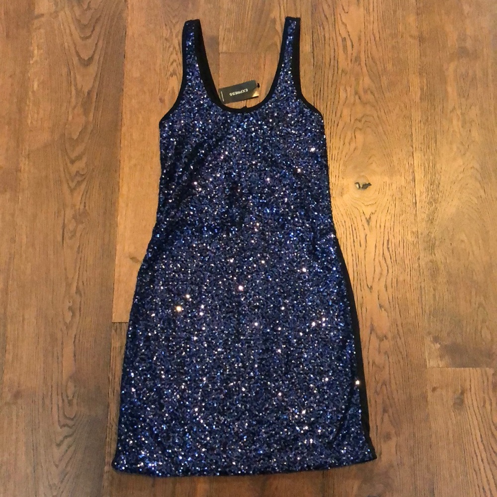 NWT Express Sequin Dress